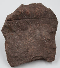 Carregar imagem no visualizador da galeria, Fossile de Fougère