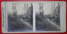 Charger l'image dans la galerie, Reims 4 juillet 1919, photos stéréographies.