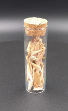 Charger l'image dans la galerie, Lot de dents fossiles de requin Otodus obliquus