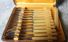 画像をギャラリービューアに読み込む, Coffret fourchette à dessert APOLLONOX