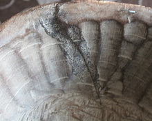 Charger l'image dans la galerie, Masque Dan