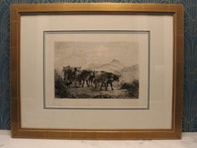 Charger l'image dans la galerie, Attelage de bœufs en Normandie