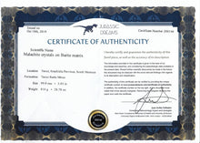 Load image into Gallery viewer, Malachite naturelle sur Baryte