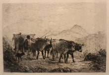 Charger l'image dans la galerie, Attelage de bœufs en Normandie