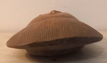 Charger l'image dans la galerie, Masque Baoulé