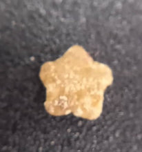 Charger l'image dans la galerie, Fossiles d'Échinoderme