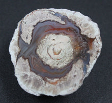 Load image into Gallery viewer, Lot de Lithophyse