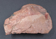 Lade das Bild in den Galerie-Viewer, Fossile de Fougère