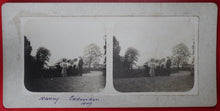 Charger l'image dans la galerie, Photos stéréographies, Nancy 1909