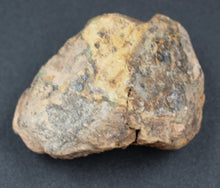 Charger l'image dans la galerie, Fossile de Tribolite