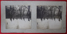 Charger l'image dans la galerie, Promenade sous la neige au bois de Boulogne 30 novembre 1908, photos stéréographies.