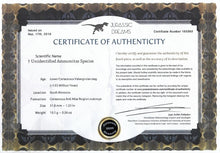 Charger l'image dans la galerie, Ammonite Hildoceras fossilisée irisée