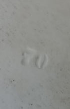 Charger l'image dans la galerie, Très beau plateau porcelaine de Vienne fin XVIIIème