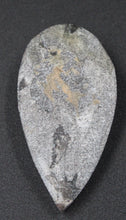 Lade das Bild in den Galerie-Viewer, Petit fossile d&#39;Orthoceras
