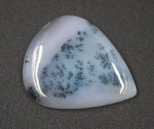 画像をギャラリービューアに読み込む, Lot de cabochon agate Dendritique
