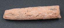 Carregar imagem no visualizador da galeria, Rhizolith - Fossile concrétionnaire
