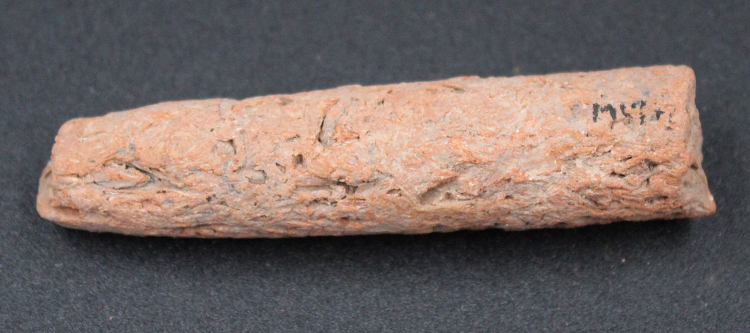 Rhizolith - Fossile concrétionnaire