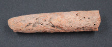 Cargar imagen en el visor de la galería, Rhizolith - Fossile concrétionnaire
